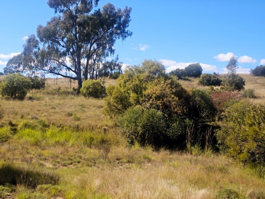 4 Bedroom Property for Sale in Dewetsdorp Free State
